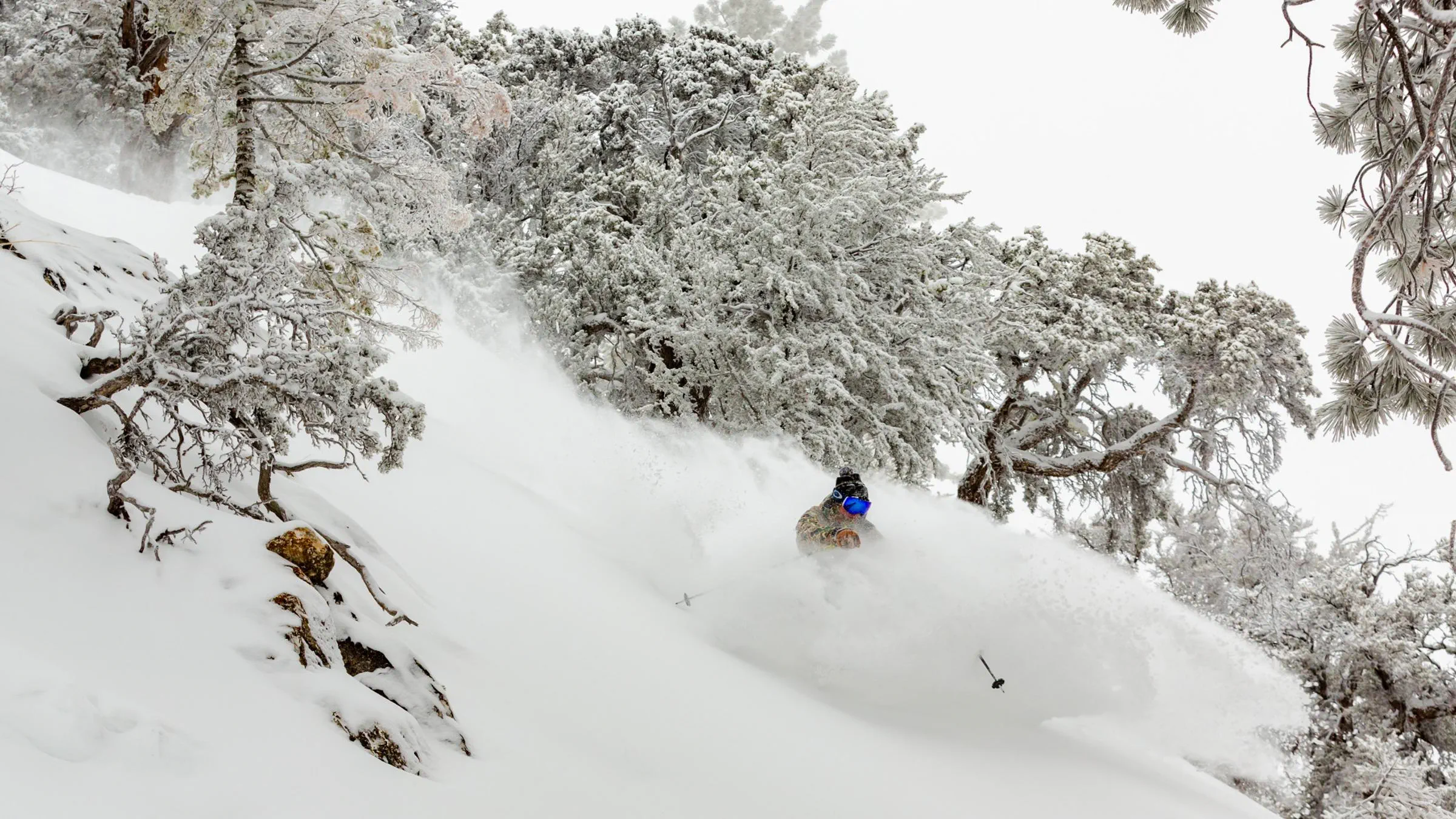 Powder Shoot